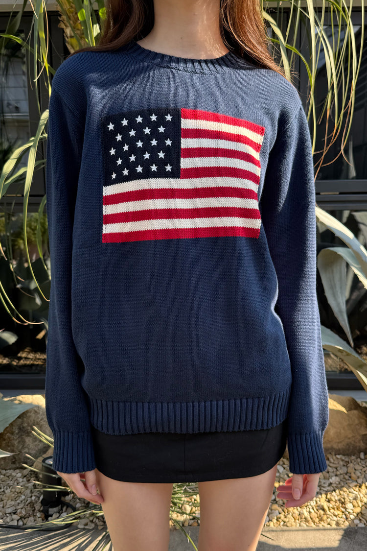 NICO AMERICAN FLAG SWEATER | Navy / Regular Fit