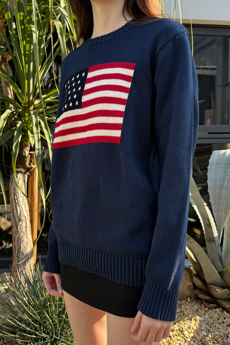 NICO AMERICAN FLAG SWEATER | Navy / Regular Fit