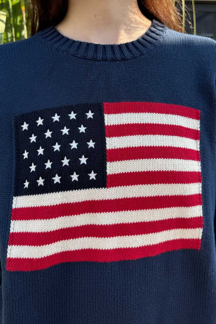 NICO AMERICAN FLAG SWEATER | Navy / Regular Fit