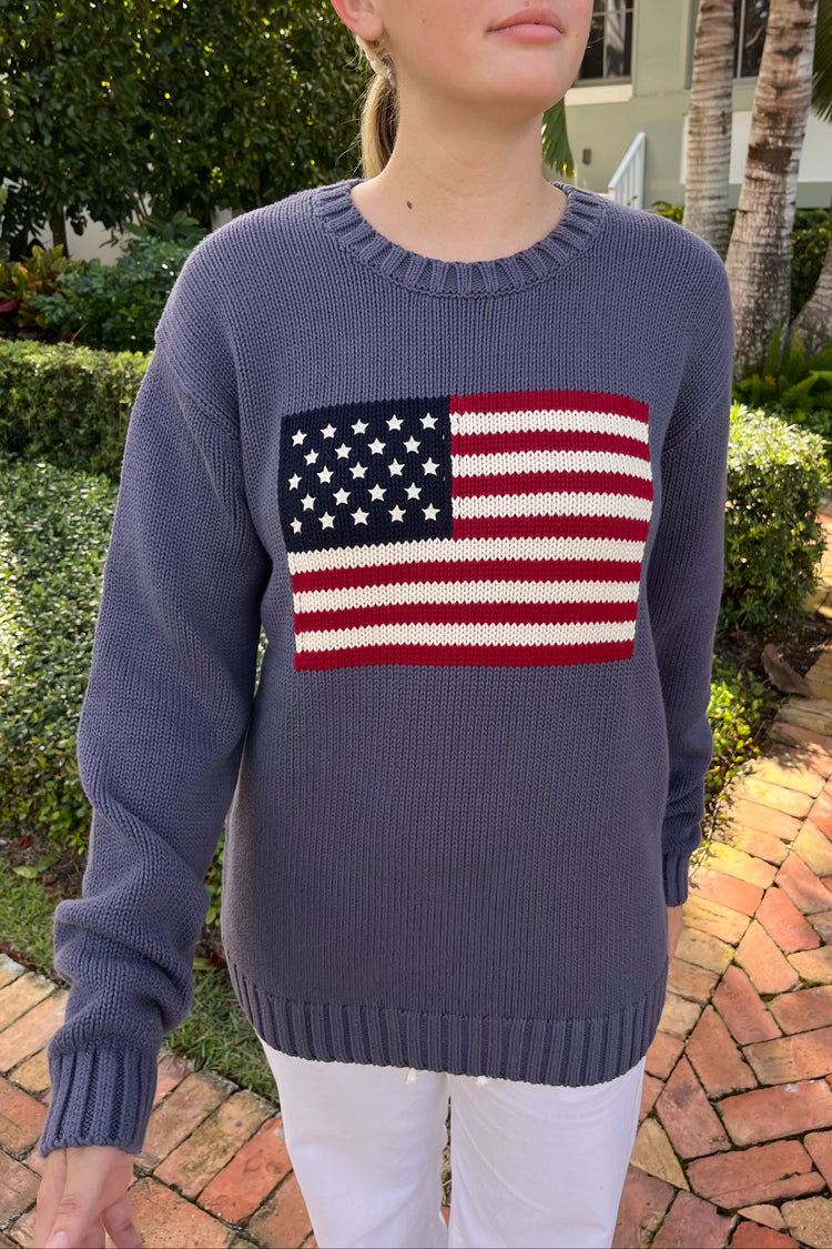 NICO AMERICAN FLAG SWEATER | Lavender / Regular Fit