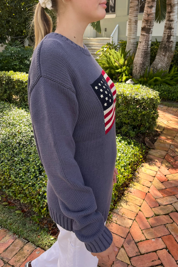 NICO AMERICAN FLAG SWEATER | Lavender / Regular Fit