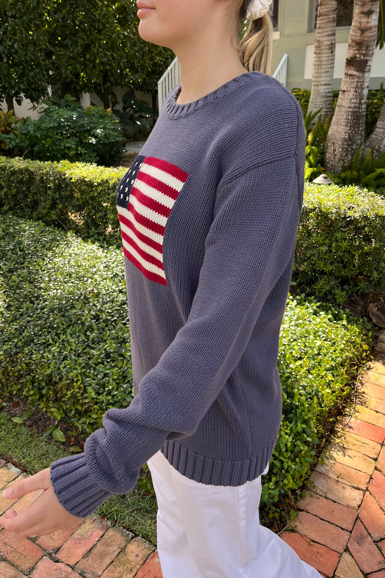 NICO AMERICAN FLAG SWEATER | Lavender / Regular Fit