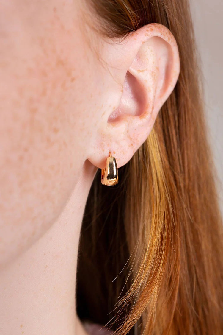 Mini Thick Hoop Earrings – Brandy Melville Online Japan