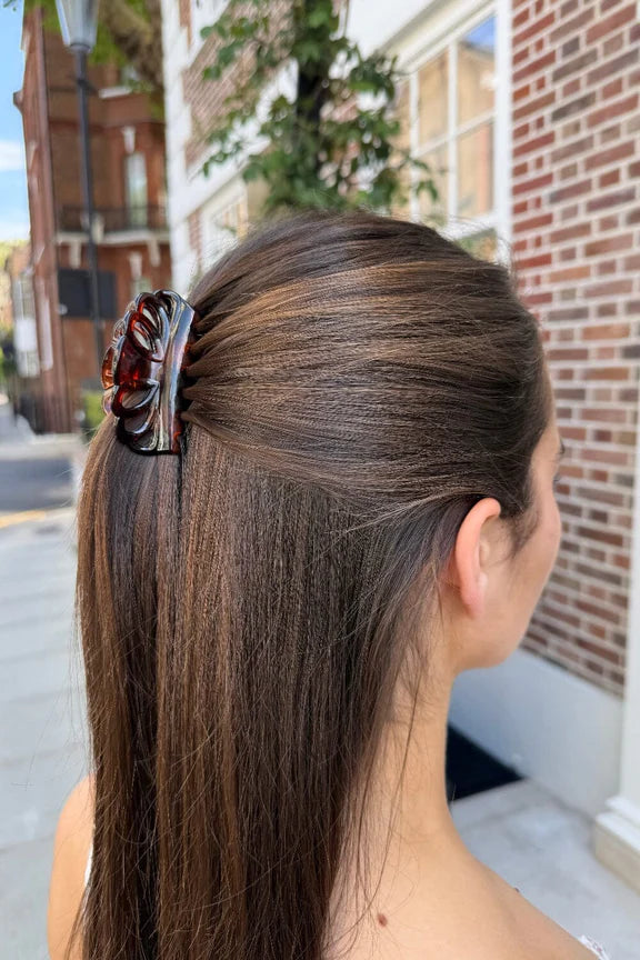 Hair Shell Clip | 